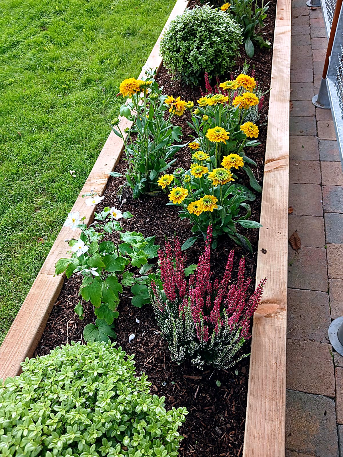 Landscaping